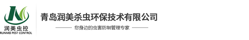 青岛杀虫公司|青岛消杀公司|青岛灭蟑螂公司|青岛病媒生物防制|青岛灭鼠公司|青岛灭蟑螂公司|青岛消虫公司|青岛润美杀虫环保技术有限公司