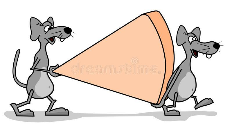 有老鼠先别慌!老师傅推荐,目前最实用的灭鼠方法