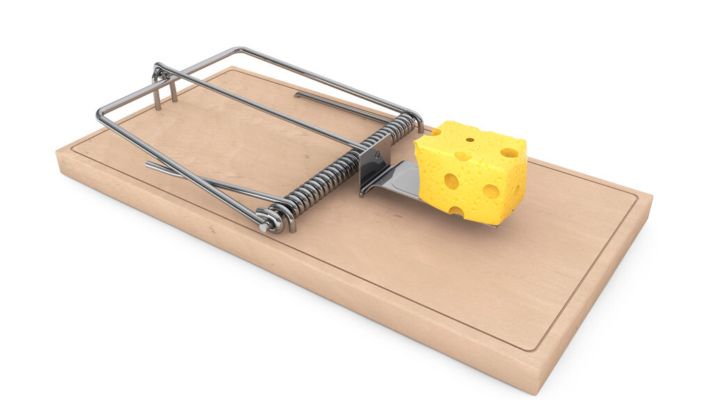 有老鼠先别慌!老师傅推荐,目前最实用的灭鼠方法