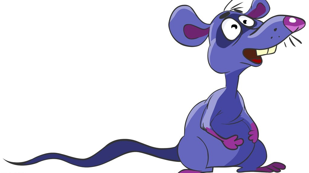 有老鼠先别慌!老师傅推荐,目前最实用的灭鼠方法